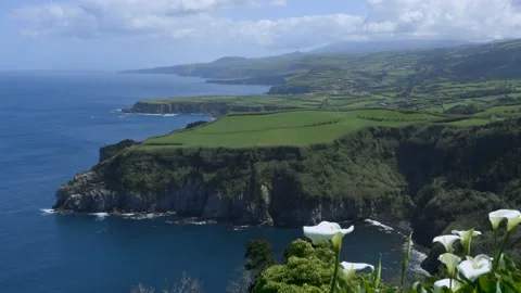 Coastline with green high cliffs by the Atlantic Ocean on a sunny day. Azores. 库存影片 203166750
