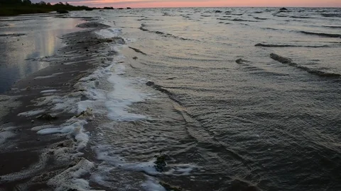 Coastline of a large lake, dawn Stock Footage 116545313