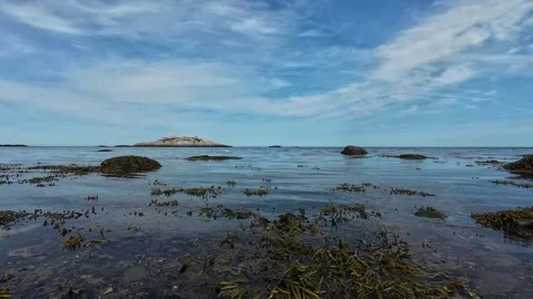 Coastline at Low Tide with Seaweed, Reflective Water and Distant Island Video stock 344762819