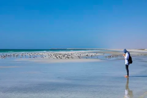 Coastline of Oman Stock Photos