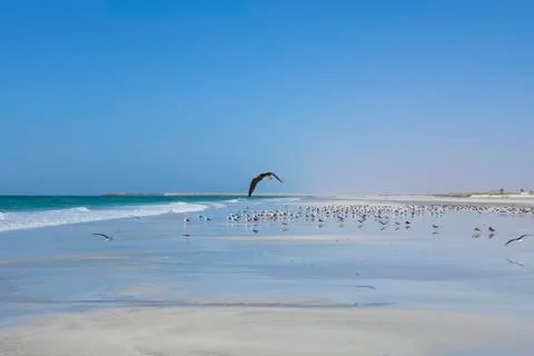 Coastline of Oman 스톡 사진