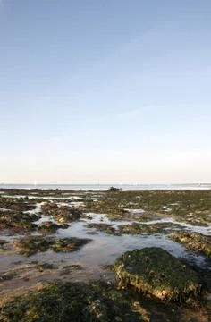 Coastline Stock Photos