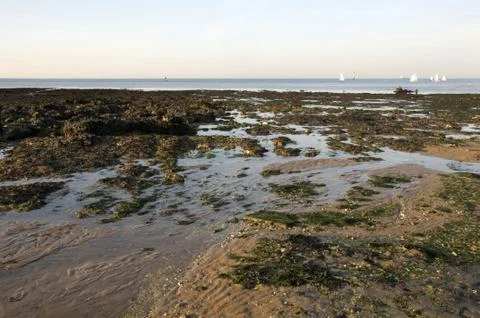 Coastline Stock Photos