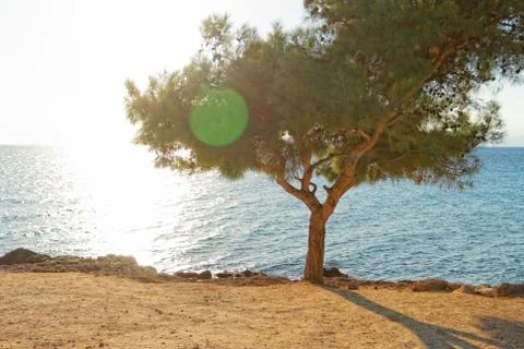 Coastline Stock Photos