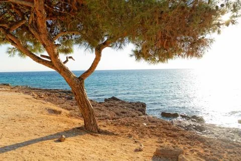 Coastline Stock Photos