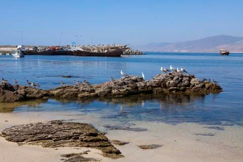 COASTLINE 스톡 사진