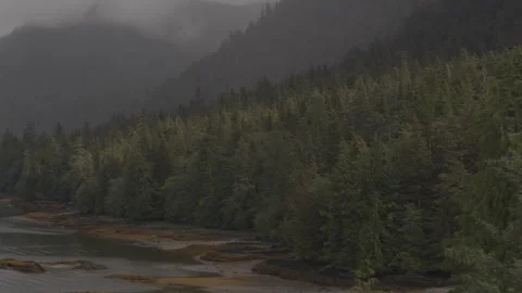 Coastline of pine trees next to lake with fog covered mountains in distance Stock Footage 255317624