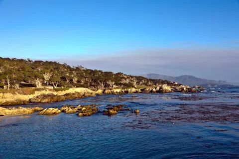 Coastline at Point Lobos in Sunset Stock Photos