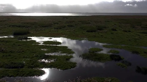 Coastline salt marsh reflections moody Stock Footage 80758195