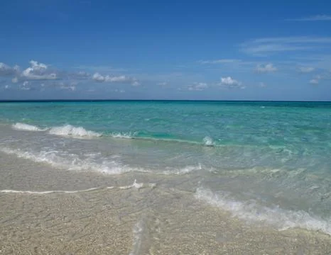 Coastline -  sandy beach Stock Photos
