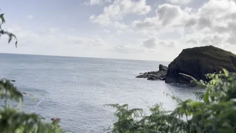 Coastline through the trees on sunny summers morning in Devon Stock Footage 246475742