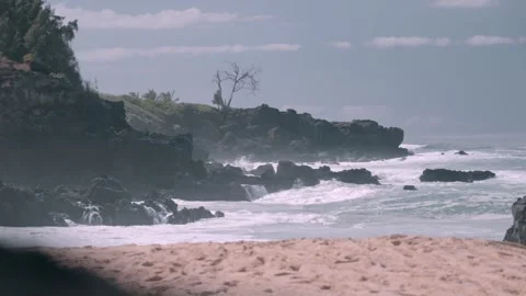 Coastline view with beach brush and rocks in forground Honolulu Hawaii Stock Footage 312647791