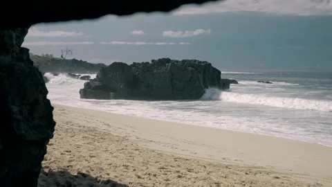 Coastline view with beach brush and rocks in forground Honolulu Hawaii Stock Footage 312647828