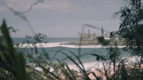 Coastline view with palm trees on beach brush in forground Honolulu Hawaii Stock Footage 312533392