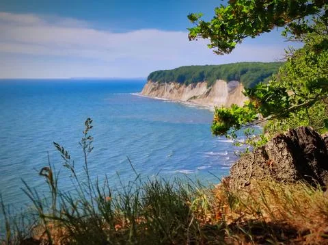 Coastline view showing cliffs, ocean, and greenery during daylight in a nat.. Stock Photos