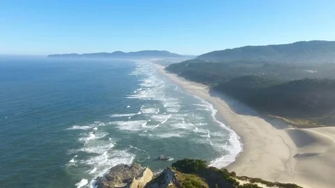 Coastline water forest Stock Footage 81765944