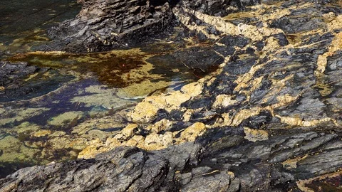 Coastlines and Coves in Cornwall Stock Footage 94322272