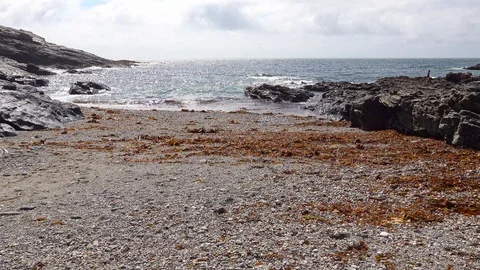 Coastlines and Coves in Cornwall Stock Footage 94324845