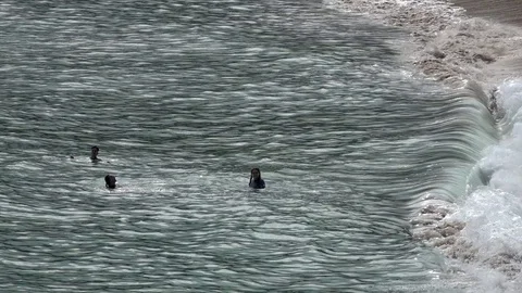 Coastlines and Coves in Cornwall Stock Footage 94407652