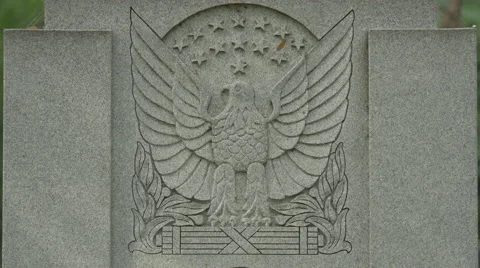 Coat of arms on a wall in Bucharest Stock Footage 58000598