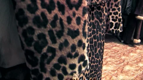 Coat of leopard-skin Video stock 924888