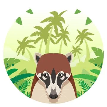 Coati on the Jungle Background Stock Illustration