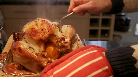Coating The Turkey Stock Footage 77734417
