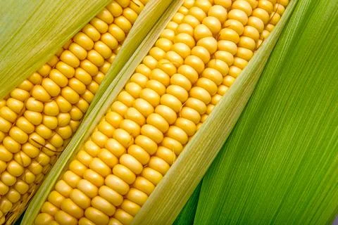 Cob background Stock Photos