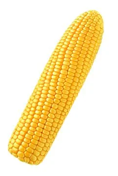 Cob of corn Stock Photos