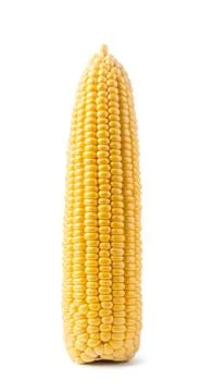 Cob corn Stock Photos
