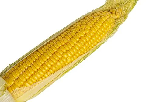 Cob corn texture on white background close up Foto stock