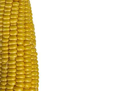 Cob corn texture on white background close up Foto stock