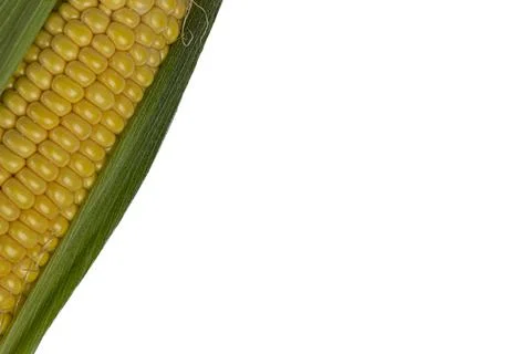 Cob corn texture on white background close up Stock Photos