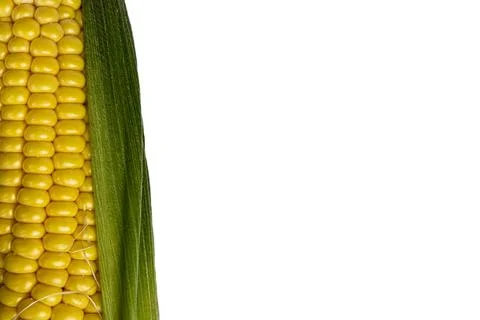 Cob corn texture on white background close up Foto stock