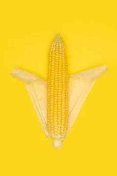 Cob of corn on yellow background. Stock Photos
