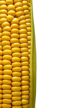 Cob isolated Stock Photos