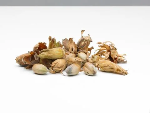 Cob Nuts Stock Photos