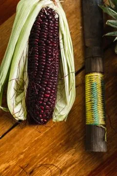 The cob of purple corn with a knife is on the table Stock Photos
