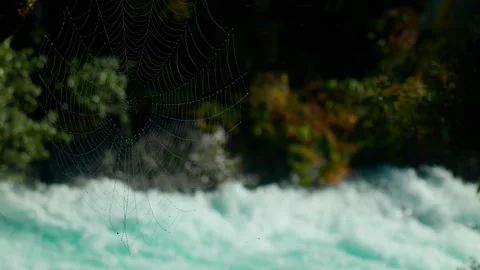 Cob Web with water flowing behind 스톡 동영상 250134515