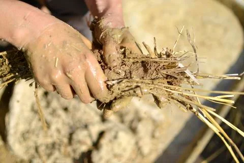 Cob work Stock Photos