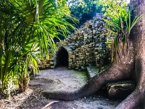 Coba1 Stock Photos