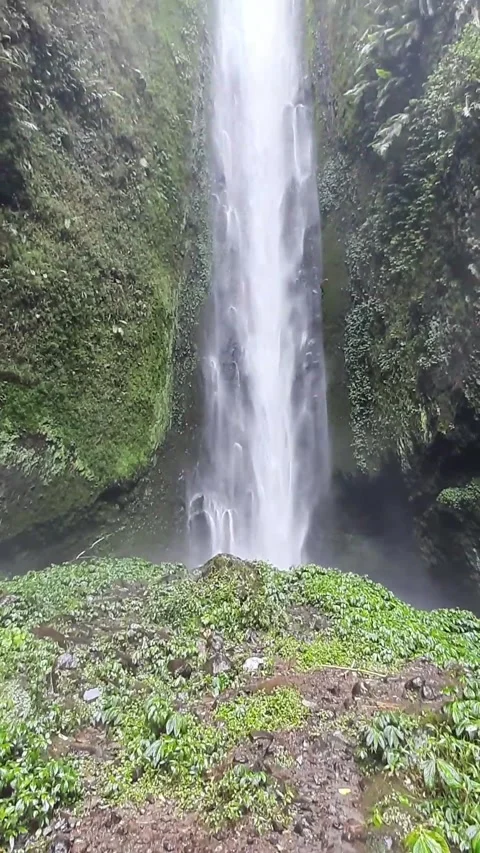 Coban Glotak Waterfall Stock Footage 243233838