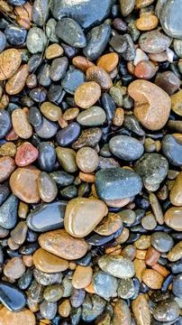 Cobble Beach rocks Stock Photos