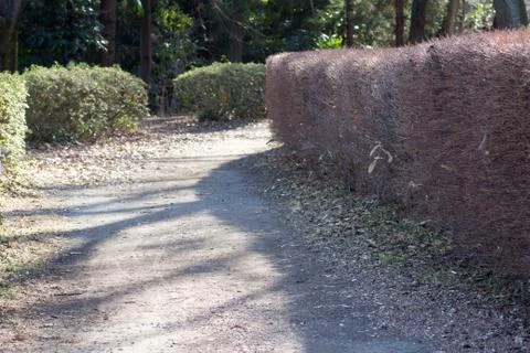 Cobble path between bush Stock Photos