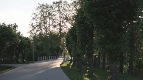 Cobble road in the park with green trees, wideshot, outside Stock Footage 89957663