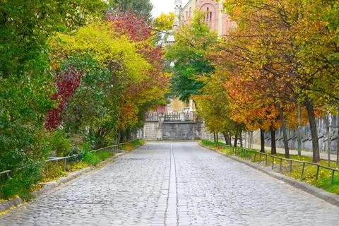 Cobble stone aged road in old city street trees tunnel October colorful leave Stock Photos