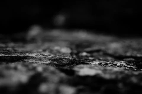 Cobble stone closeup, shallow depth of field Stock Photos