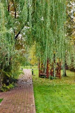 Cobble stone path in the fall garden Stock Photos
