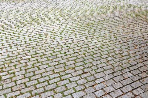 Cobble stone pavement Stock Photos