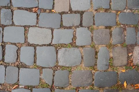 Cobble stone pavement Stock Photos